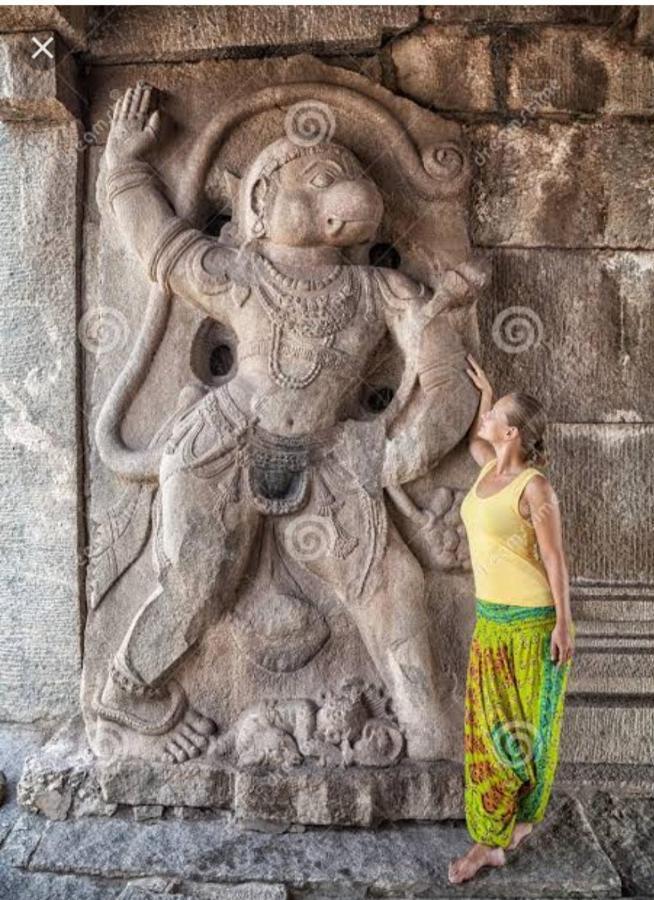 Lohit Homestay Hampi Exteriér fotografie